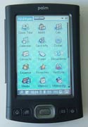 Palm T|X