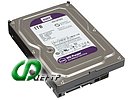 Жесткий диск 1ТБ Western Digital "Purple WD10PURZ", 5400об./мин., 64МБ
