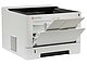 Лазерный принтер Kyocera "ECOSYS P2235dn" A4 (USB2.0, LAN). Вид спереди.